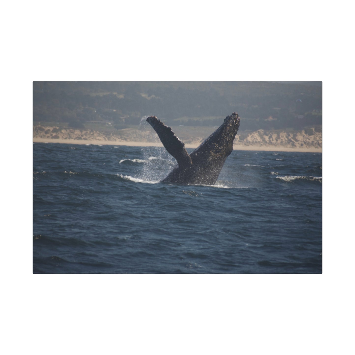 Whale Watching: Playful Canvas Art for Ocean Lovers