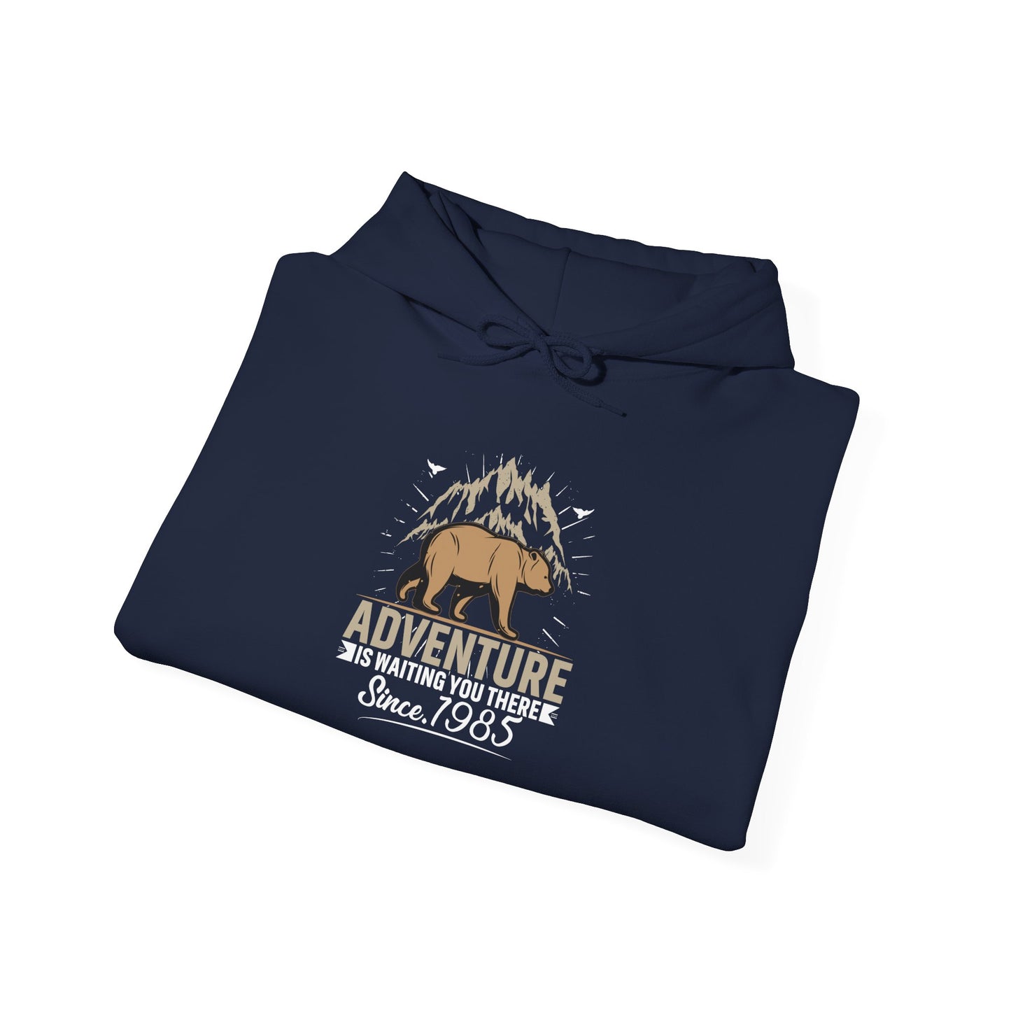Explore More Bear Hoodie
