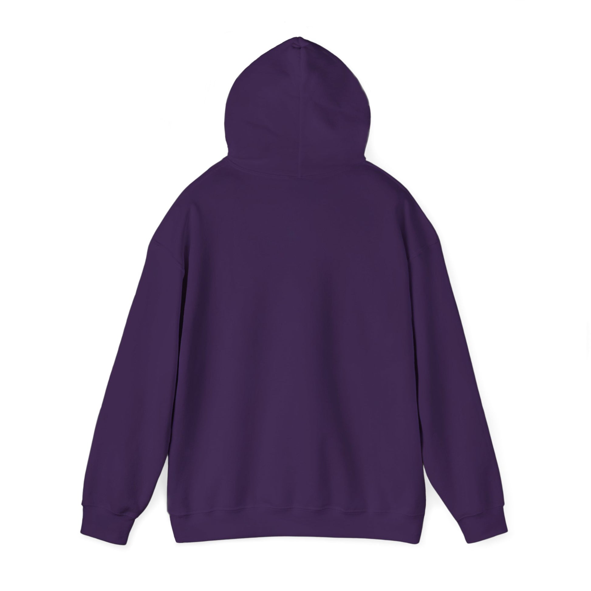 Roaming Spirit Sunset Sweatshirt — view 15