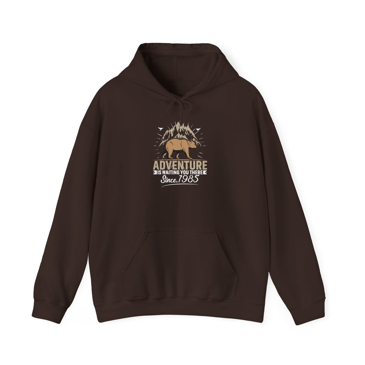 Explore More Bear Hoodie