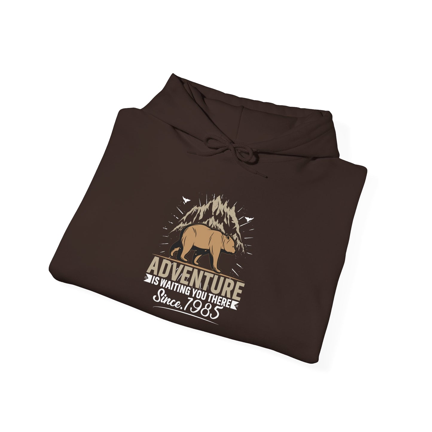 Explore More Bear Hoodie