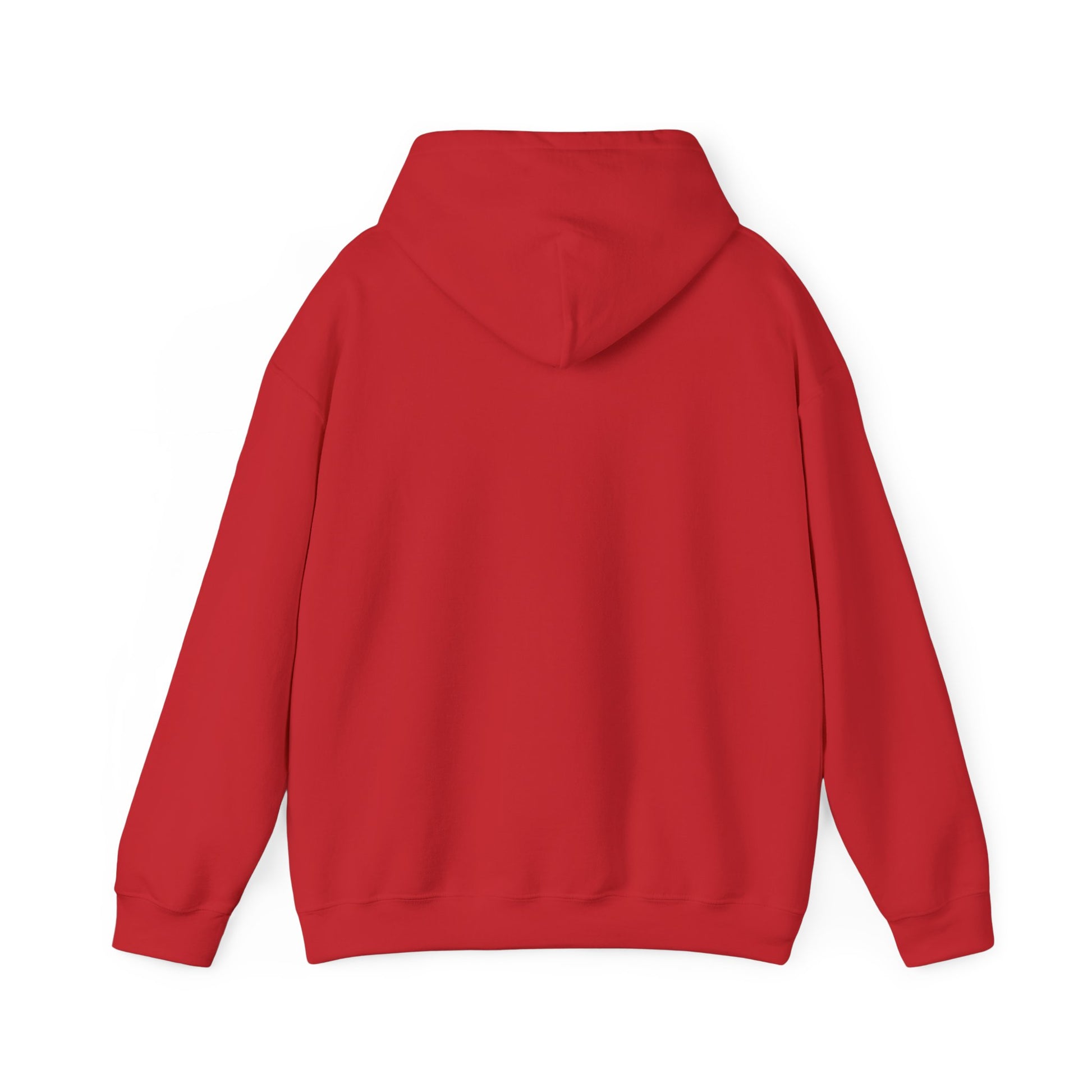 Rugged Cozy Trail Hoodie — view 14