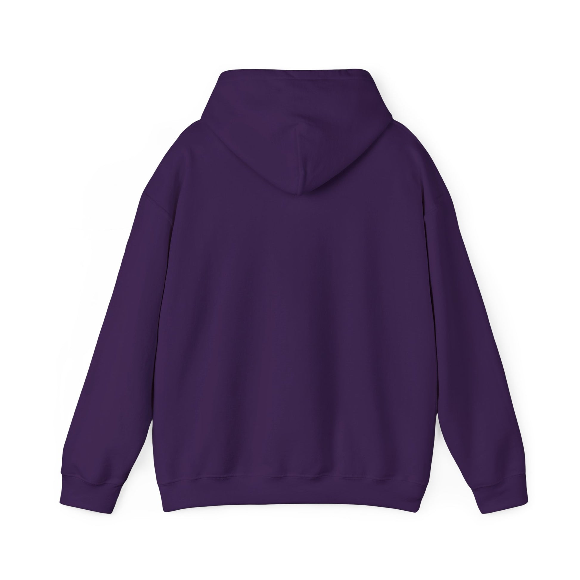 Roaming Spirit Sunset Sweatshirt — view 14