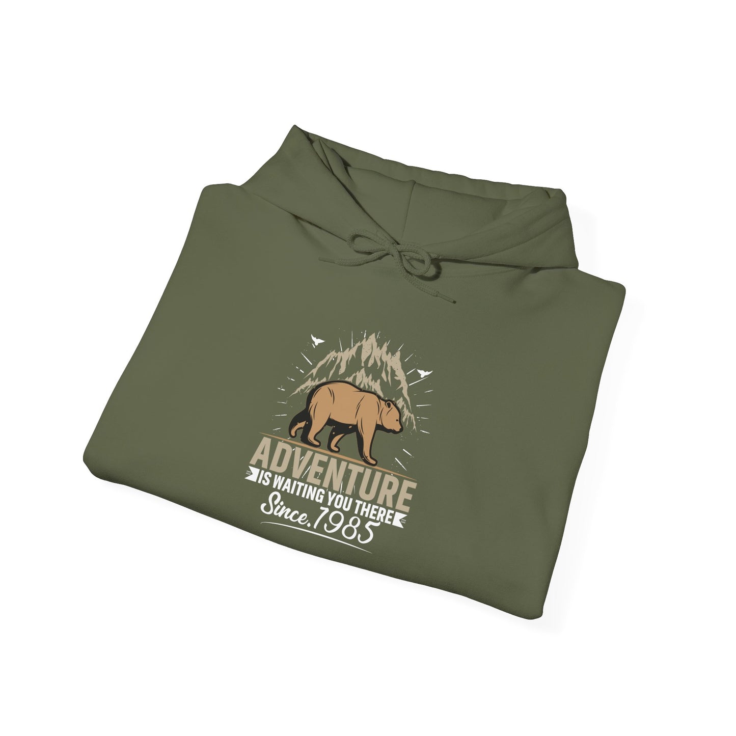 Explore More Bear Hoodie