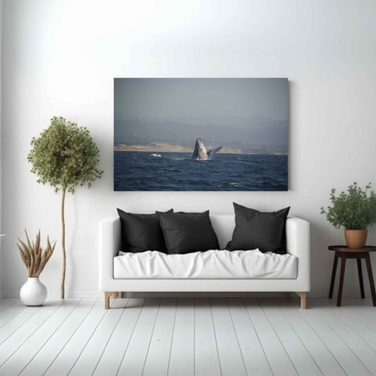 Whale Breaching the Water Canvas Art Print