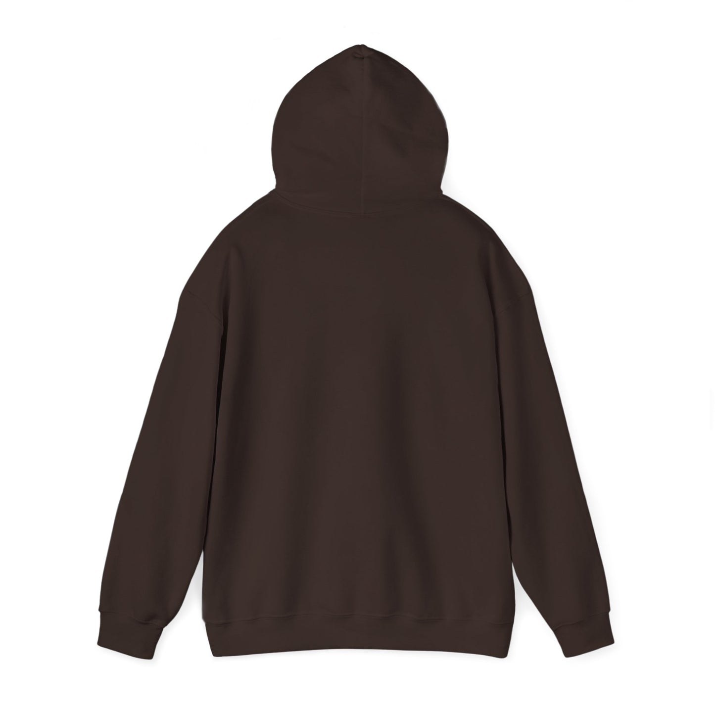 Explore More Bear Hoodie