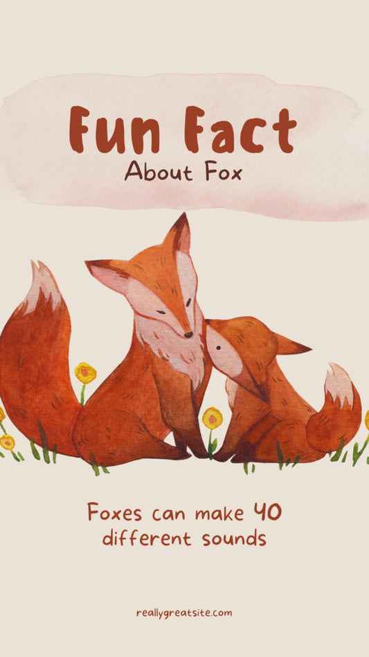 Fox PNG Bundle – 4 Adorable Fox Clipart Images (Digital Download)